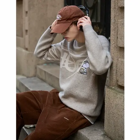 【史努比联名款】唐狮秋季毛衣男圆领字母提花设计感毛线衫TMTA图片