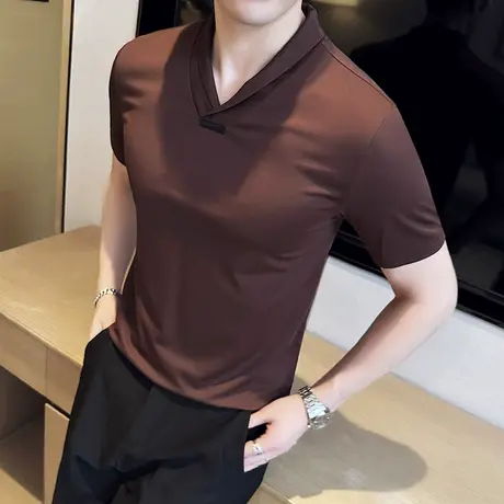弹力性感V领T恤男短袖夏季冰丝薄款青果领小众POLO衫休闲套头半袖商品大图