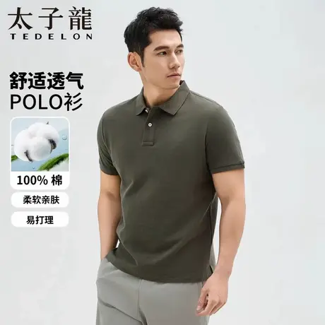 TEDELON/太子龙男士翻领纯棉亲肤柔软简约高端轻商务短袖polo衫商品大图