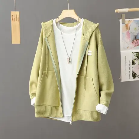 设计感拉链针织开衫外套女秋冬季小众宽松休闲毛衣外套女连帽上衣商品大图