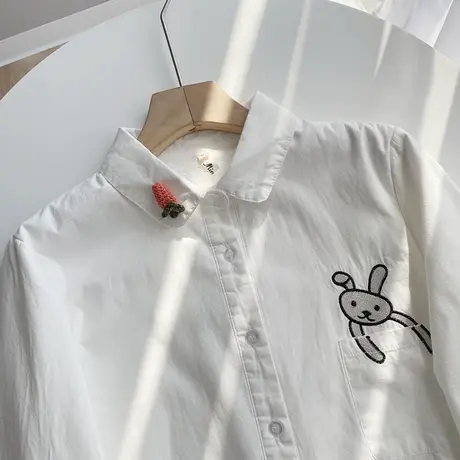 秋冬季学院风文艺加绒白衬衫女长袖宽松可爱刺绣加厚保暖打底衬衣商品大图