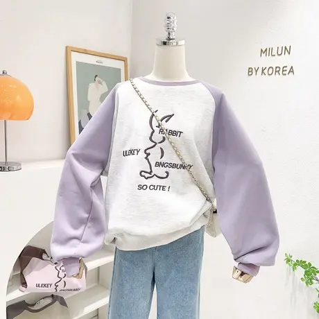 2023春秋新款上衣韩国东大门ins复古刺绣兔子撞色卫衣设计感大码商品大图