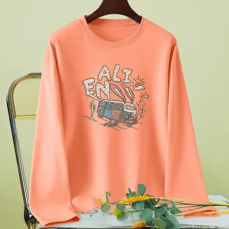 春季长袖t恤女设计感小众春秋2024年新款春装纯棉宽松打底衫上衣图片