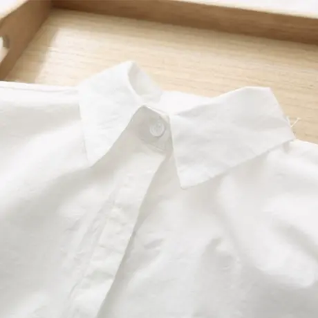 2022春秋装韩版小清新文艺纯色白衬衫女学生职业百搭修身打底衬衣图片