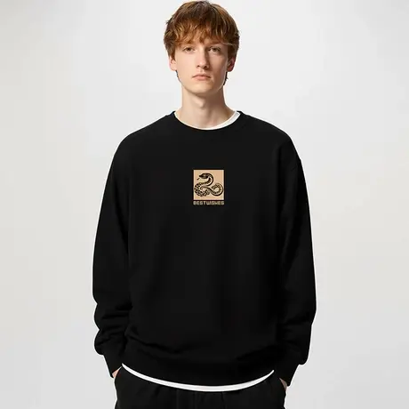 2025新款男生加肥加大码男装胖子圆领卫衣加绒情侣装衣服春季薄款商品大图