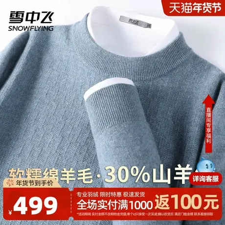 雪中飞【轻奢30山羊绒】秋冬时尚休闲舒适圆领毛衣男士羊绒衫W图片