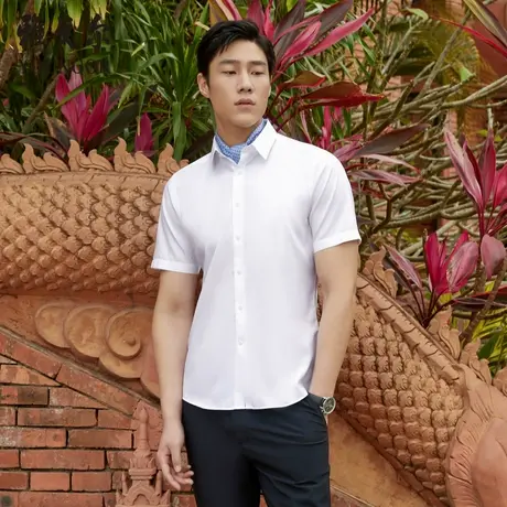 【DP免烫】D系雅戈尔衬衫夏季商务通勤隐条纹纯棉白色短袖衬衫男商品大图