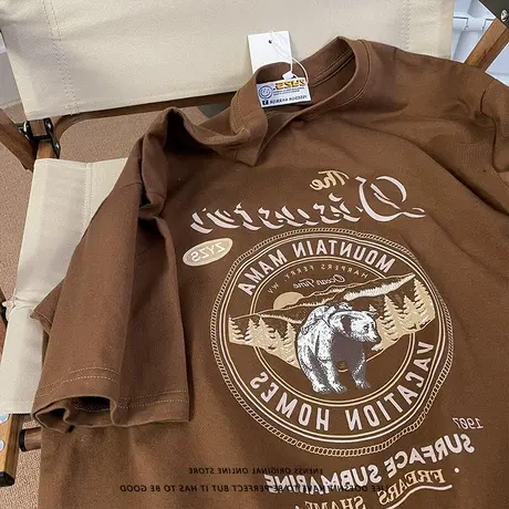 vintage大码美式复古咖色设计感小众短袖t恤女夏港风chic古着上衣商品大图