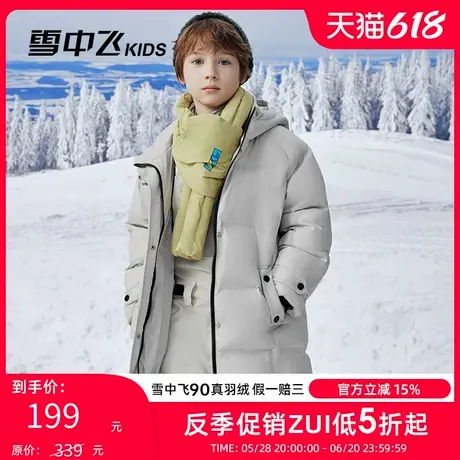 雪中飞kids童装儿童羽绒服2024新款洋气男童立领连帽加厚羽绒服冬商品大图
