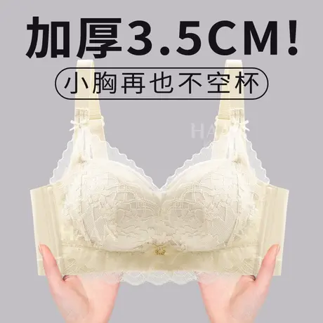 内衣女小胸聚拢上薄下厚3cm提胸固定杯b杯聚拢蕾丝bra性感高级感商品大图