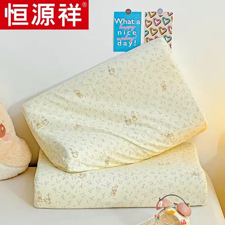 恒源祥双层纱全棉印花乳胶枕套纯棉学生宿舍枕芯套双人单人枕头套商品大图