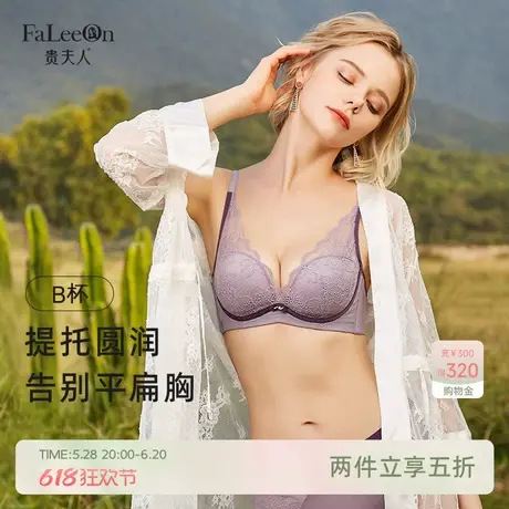 贵夫人性感美背舒适聚拢蚕丝内衣女小胸收副乳防下垂性感蕾丝文胸商品大图