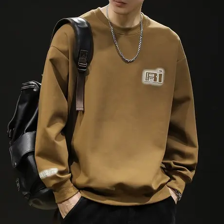 重磅卫衣男潮牌春秋款圆领男款衣服秋季2023新款长袖大码秋冬外套商品大图