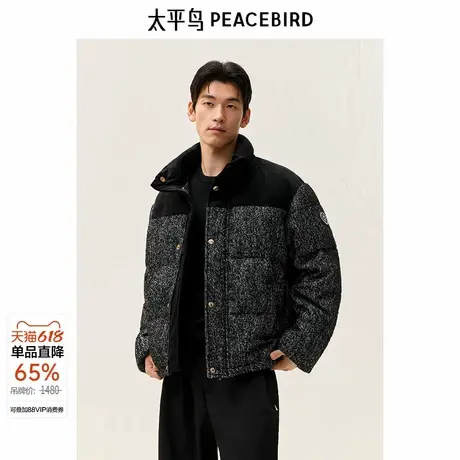太平鸟男装羽绒服B1ACD4384商品大图
