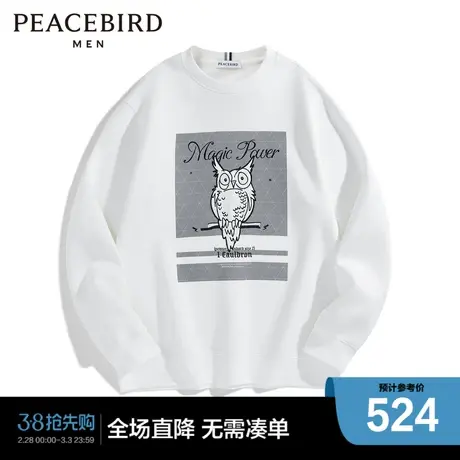 【商场同款】太平鸟男装 2024年春季新款圆领刺绣卫衣男B1CRD4434图片