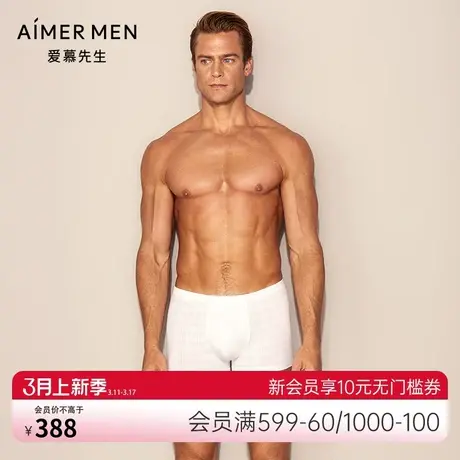 爱慕先生男士轻薄莫代尔中腰平角内裤NS23D821商品大图