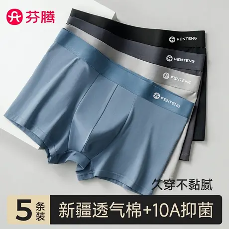芬腾男士内裤男生纯棉抗菌透气四角短裤高档名牌平角男款2025新款商品大图