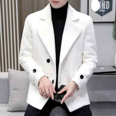 保暖皮草外套男士ins秋冬季加棉加厚仿水貂绒夹克潮流帅气短风衣商品大图