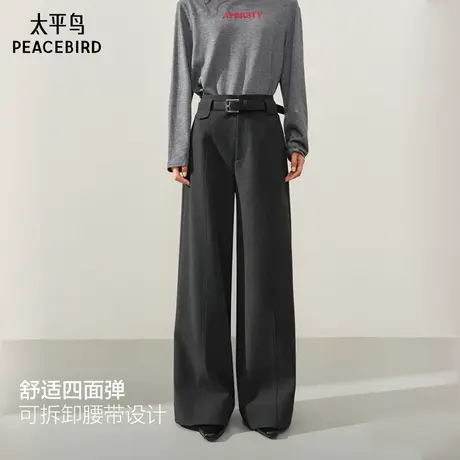 【商场同款】太平鸟2025冬季新款四面弹直筒休闲西装裤A1GBF4154商品大图