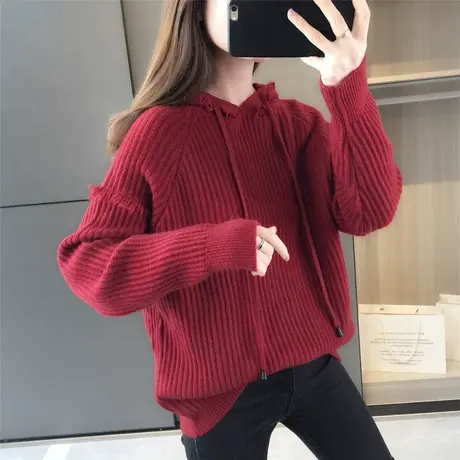 复古港风连帽套头毛衣女秋冬新款外搭韩版宽松针织衫短款上衣商品大图