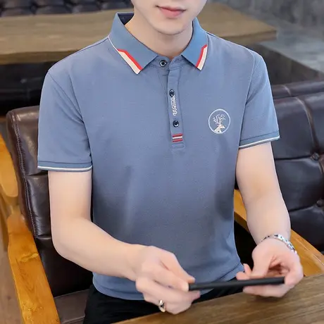 纯棉珠地网眼男T恤短袖翻领打底衫韩版修身半袖Polo衫上衣服夏季商品大图