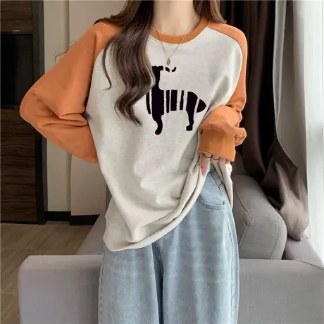 ins超火插肩长袖T恤女春秋韩版宽松显瘦撞色拼接打底衫潮牌上衣服商品大图