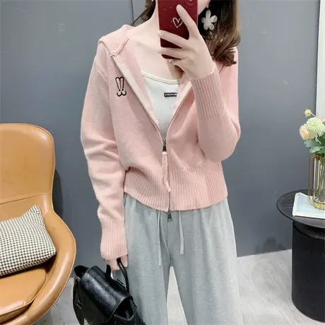 日系卡通减龄刺绣连帽针织开衫女春季2024年新款百搭短款毛衣外套商品大图