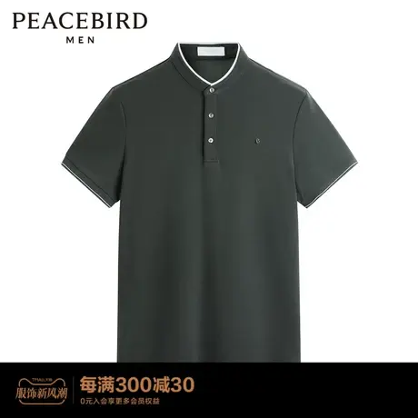 【商场同款】太平鸟男装2023年夏季新款修身立领Polo衫B1DBD2418图片