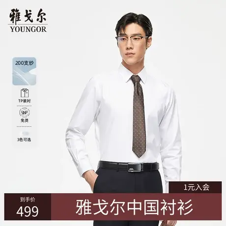 【200支】TP系雅戈尔衬衫春季商务TNDP免烫装衬易打理长袖衬衫商品大图