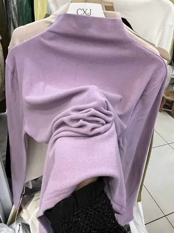 欧货双面磨毛线理半高领T恤女冬新款内搭打底衫大码春秋外穿上衣图片