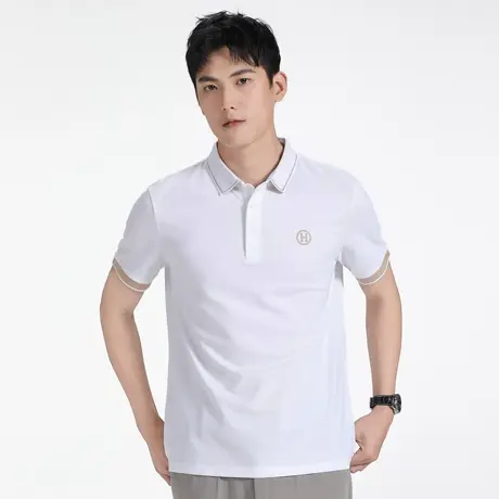 polo衫男士高级感夏季男生简约大方刺绣潮牌ins短袖t恤保罗菠萝衫图片