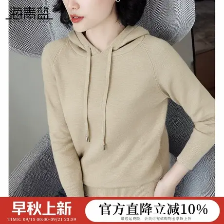 海青蓝纯色秋冬毛衣女2025新款时尚长袖宽松休闲卫衣连帽针织衫女商品大图