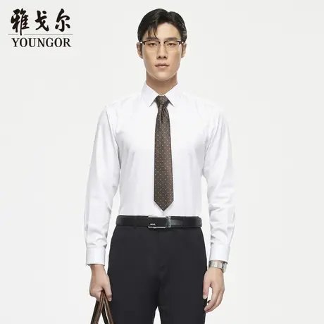 【DP免烫】TP系雅戈尔衬衫秋季商务休闲舒适纯棉百搭衬衣长袖衬衫商品大图