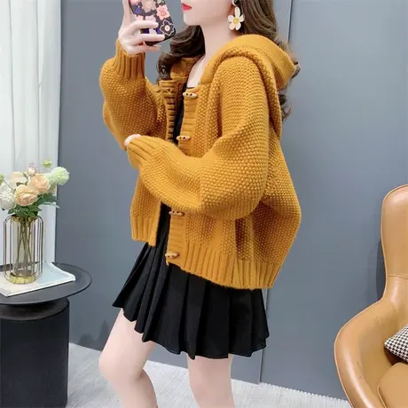 今年流行牛角扣连帽毛衣开衫女春季2024年新款时尚小个子针织外套商品大图