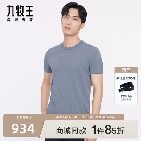[商场同款]九牧王男装JT2C10127短袖T恤23春季新款高弹亲肤百搭EN图片