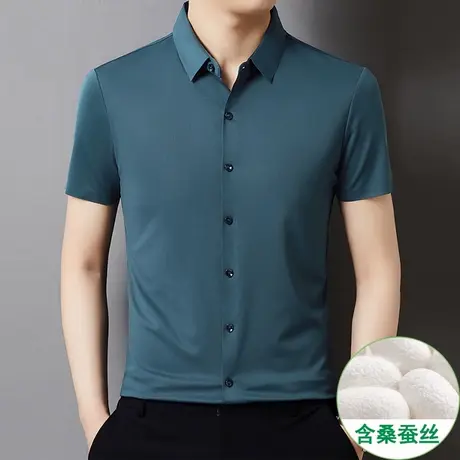夏季无痕衬衫上衣男士短袖新款高端垂感商务休闲免烫商务职业衬衣商品大图