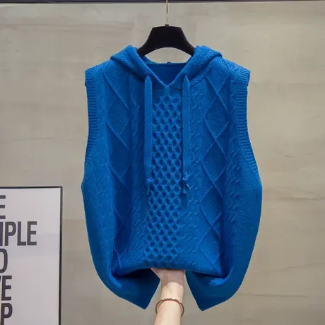 麻花毛衣坎肩女2023秋装新款马夹宽松外穿上衣连帽针织马甲背心潮商品大图