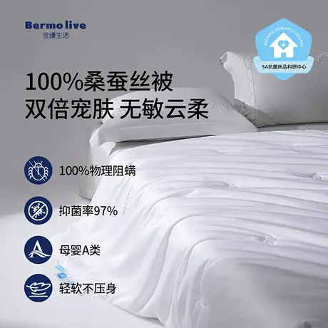 宝缦防螨被子100%桑蚕丝被芯春秋被空调被学生儿童单人纯棉全棉被商品大图
