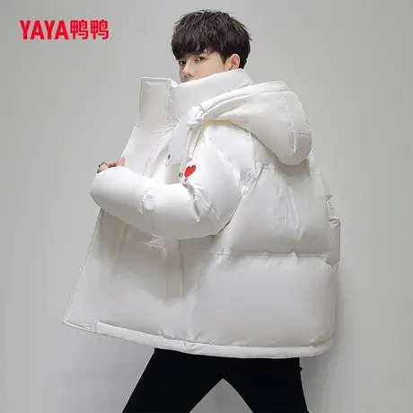 鸭鸭【YAYA 50周年系列】羽绒服男短款2023秋季新款连帽时尚外套C图片