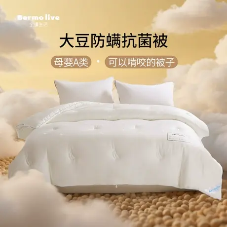 宝缦防螨被子大豆纤维被四季通用空调被芯学生儿童纯棉全棉春秋被商品大图