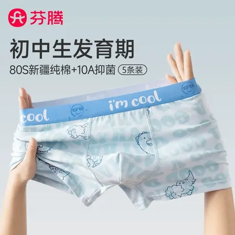 芬腾青少年内裤男生纯棉发育期平角初高中学生男孩中大童四角短裤商品大图