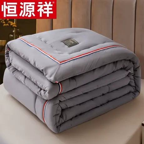 恒源祥棉被被子春秋冬被加厚保暖宿舍单人学生抗菌被芯冬季太空被商品大图