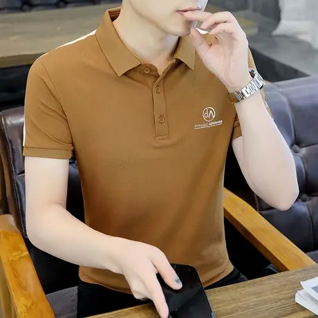 夏季男装短袖T恤有带领青年休闲Polo衫纯棉半袖丅桖刺绣打底衫潮商品大图