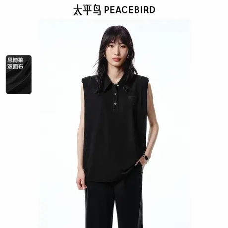 【商场同款】太平鸟女装2025年夏季新款抗皱短袖T恤A1CNF2532商品大图