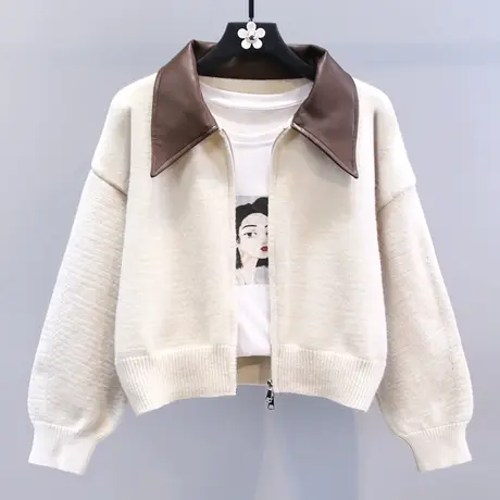 高级感气质显瘦毛衣外套女秋冬2023新款宽松双拉链短款针织开衫商品大图