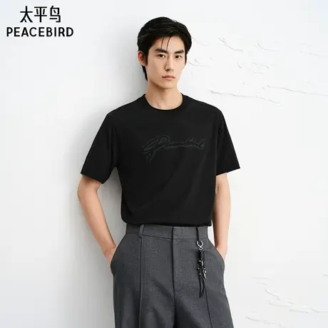 【商场同款】太平鸟男装T恤25新款重磅立体刺绣短袖潮 B1CNF3339商品大图