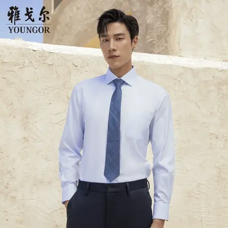 【DP免烫】D系雅戈尔衬衫秋季新款长袖衬衫柔软商务休闲抗皱衬衣商品大图