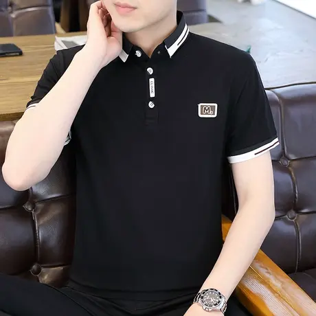 男士翻领短袖T恤夏季2023新款潮流半袖体恤带领上衣服薄款POLO衫商品大图