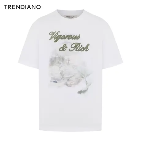 TRENDIANO国风山水印花T恤2024年春季新款宽松休闲圆领短袖刺绣男图片