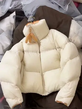 白鸭绒泡芙立领羽绒服女短款2023年冬季新款撞色加厚面包服外套潮图片